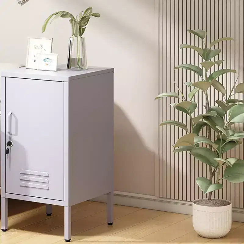 Table d'appoint métallique verrouillable avec porte unique, 2 étagères réglables, Armoire de rangement moderne et minimaliste pour chambre et salon, Rose